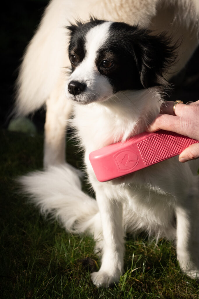 Excellent Pets Grooming Borstel Medium Roze voor Honden - afbeelding 2