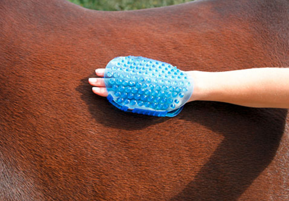 Borstel magneet massage Blauw - Huid, haar en manen - afbeelding 5