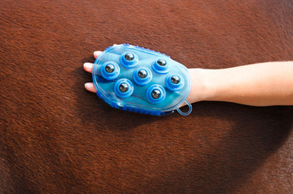 Borstel magneet massage Blauw - Huid, haar en manen - afbeelding 4