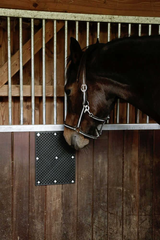 Borstelmat voor Paard, Kalf, Geit 40 x 30 cm - afbeelding 6