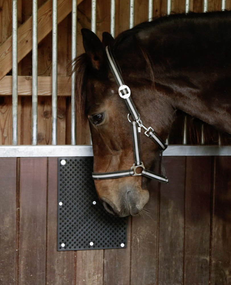 Borstelmat voor Paard, Kalf, Geit 40 x 30 cm - afbeelding 5