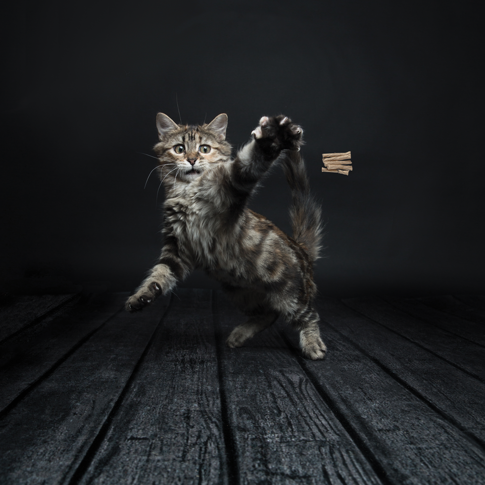 Cat Dancer Deluxe - Interactief Kattenspeelgoed 90 cm - afbeelding 2
