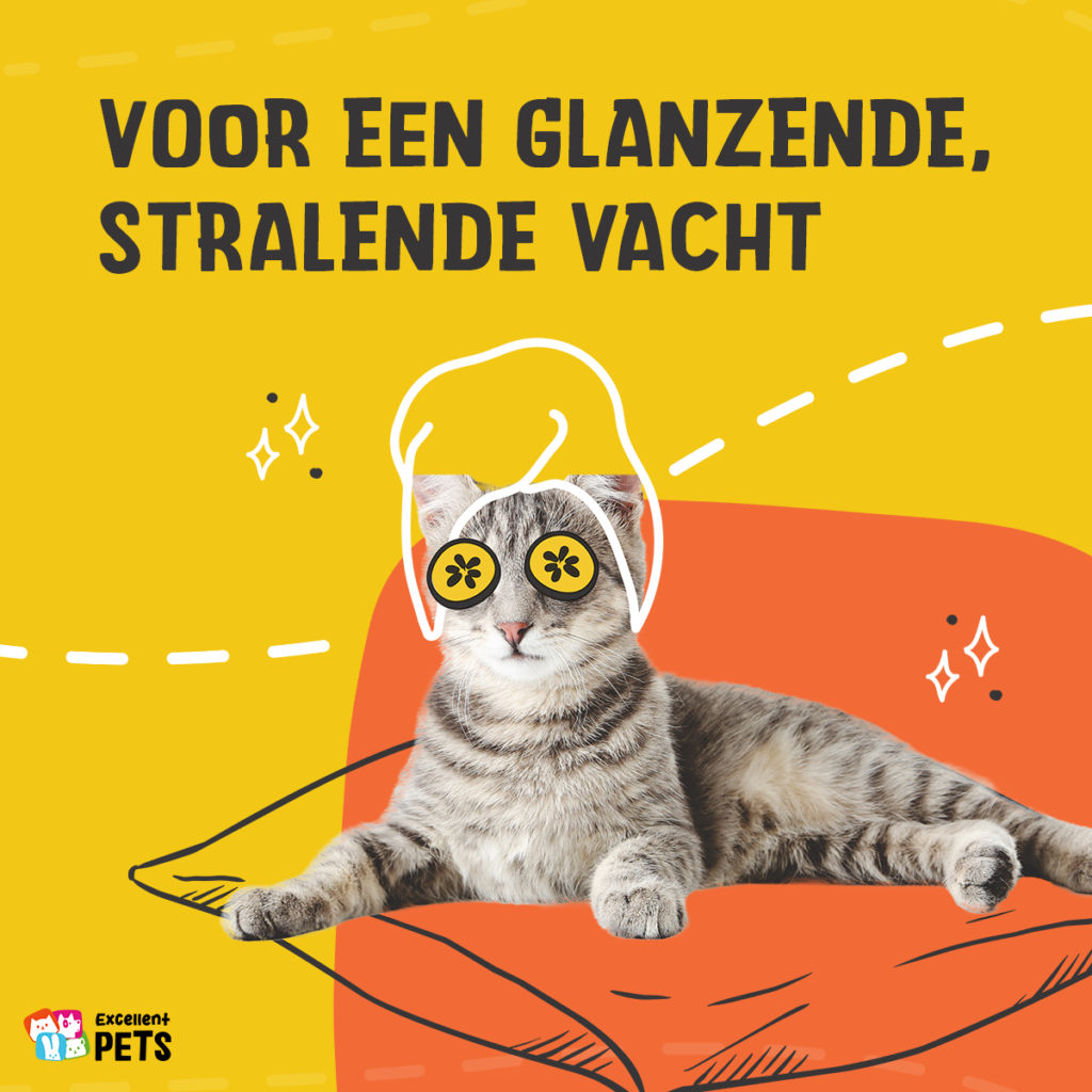 Excellent Pets Cat Salmon Oil 500 ml - Zalmolie voor Katten - afbeelding 4