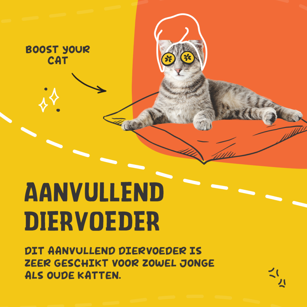 Excellent Pets L-Lysine 50 g - Supplement voor Katten - afbeelding 2