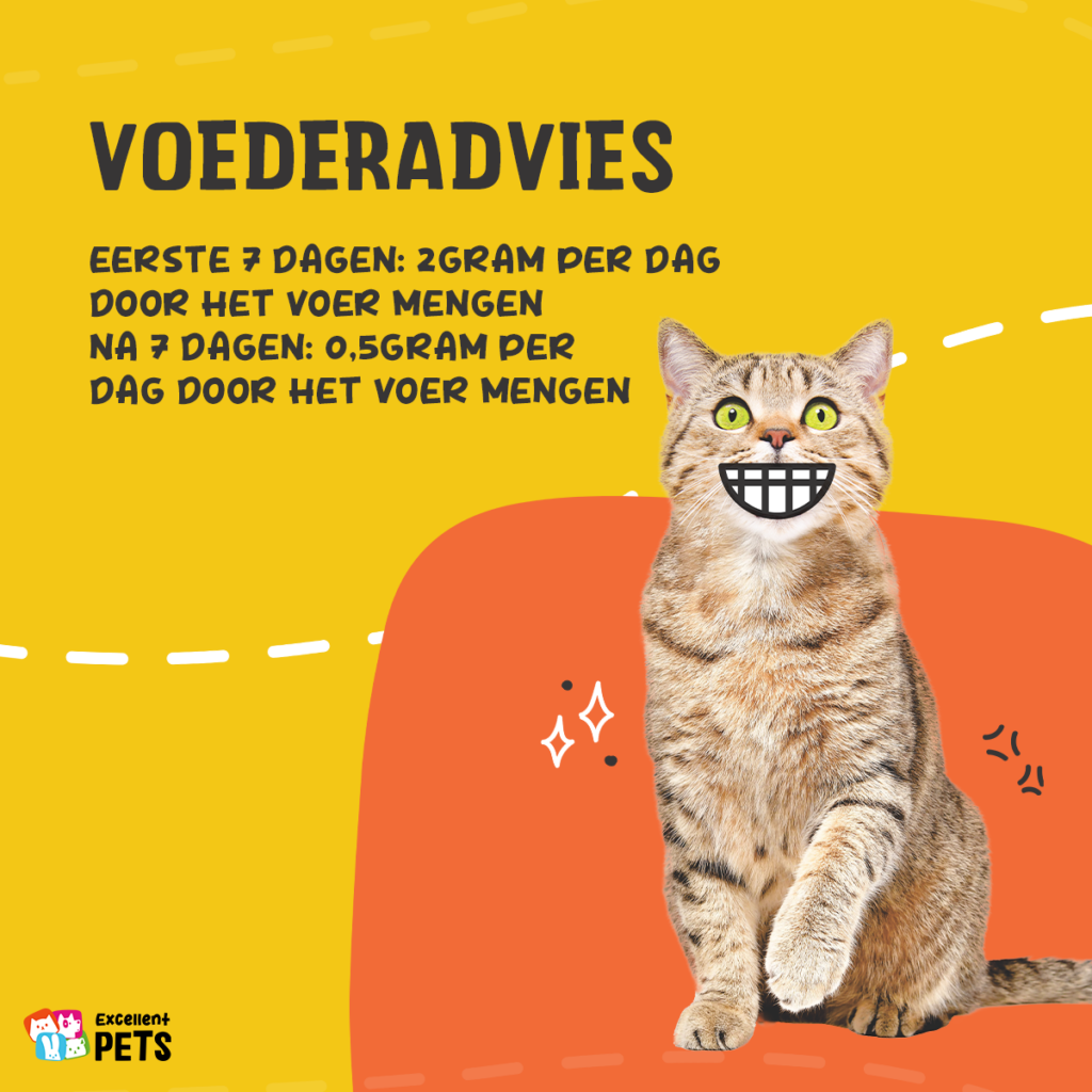 Excellent Pets L-Lysine 50 g - Supplement voor Katten - afbeelding 3