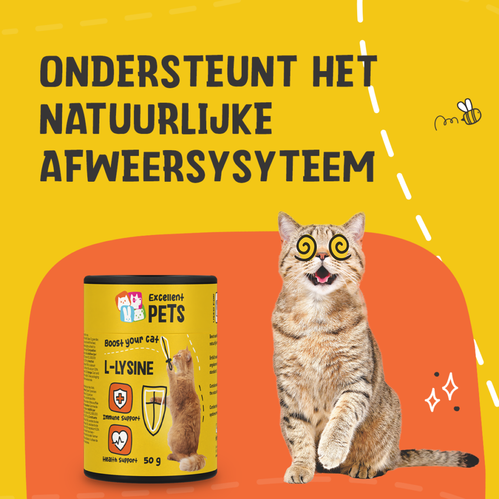 Excellent Pets L-Lysine 50 g - Supplement voor Katten - afbeelding 4