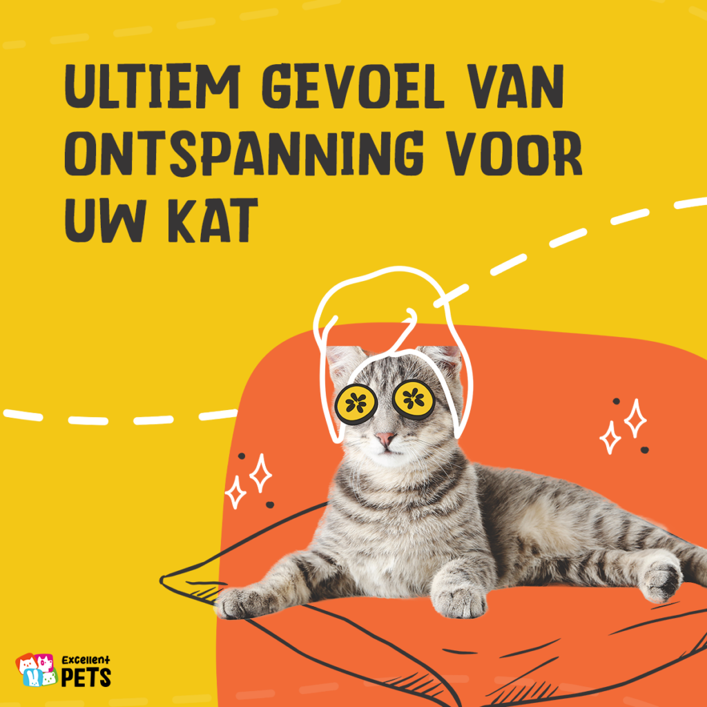 Excellent Pets Catnip Spray 150 ml - Kattenkruid in Sprayvorm - afbeelding 4