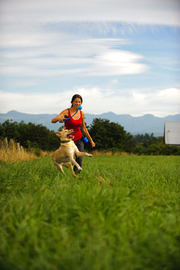 Chuckit! The Whistler S (2-pack) - Fluitende Speelbal voor Honden - afbeelding 3