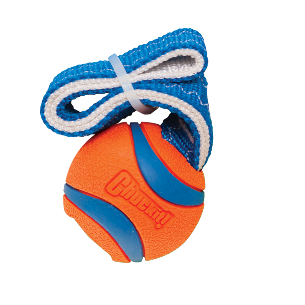 Chuckit! Ultra Tug S - Speelgoed voor Honden met Tennisbal - afbeelding 2