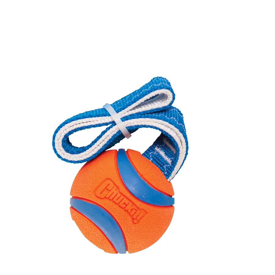 Chuckit! Ultra Tug M - Speelgoed voor Honden met Tennisbal - afbeelding 2