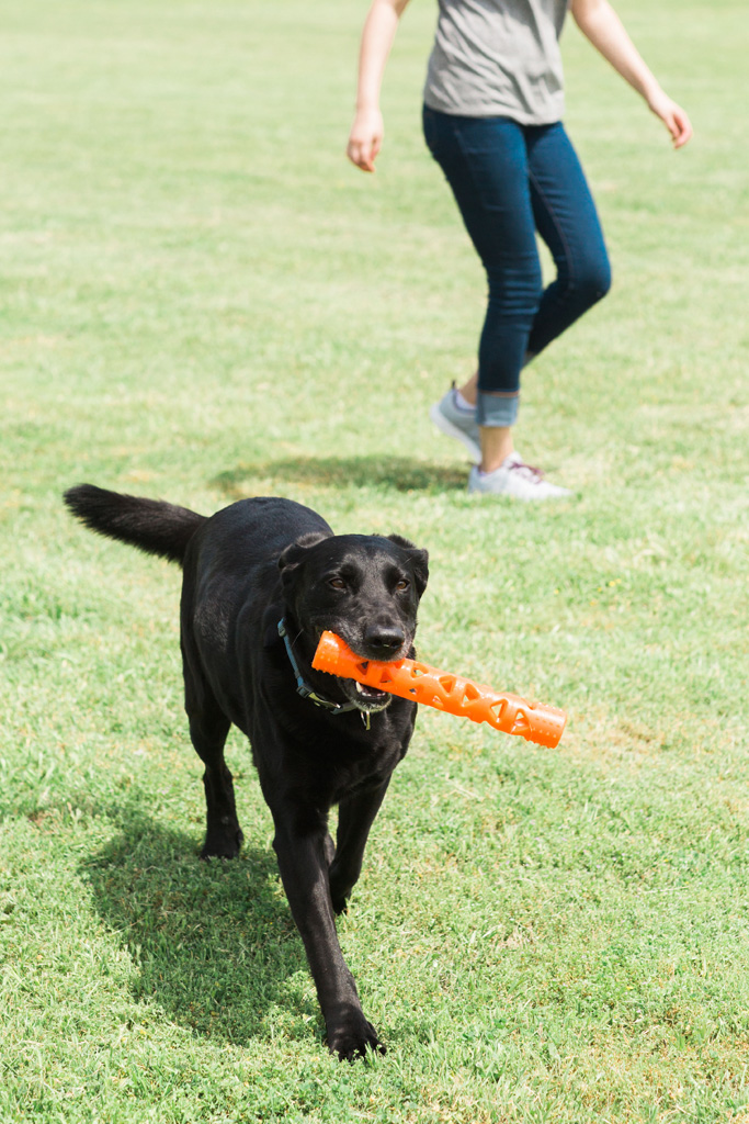 Chuckit! Air Fetch Stick 31 cm - Duurzaam Speelgoed voor Honden - afbeelding 5