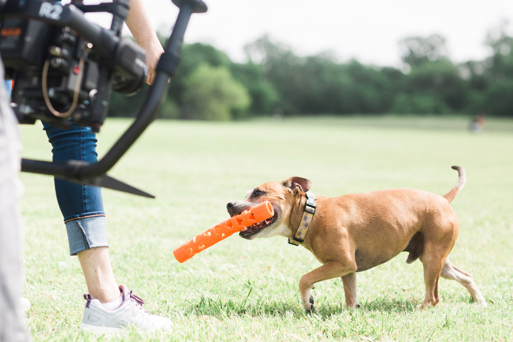 Chuckit! Air Fetch Stick 31 cm - Duurzaam Speelgoed voor Honden - afbeelding 6