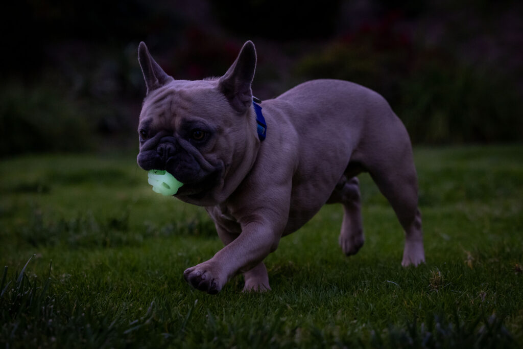 Chuckit! Air Glow Fetch Ball M (2-pack) - Speelgoed voor honden - afbeelding 4