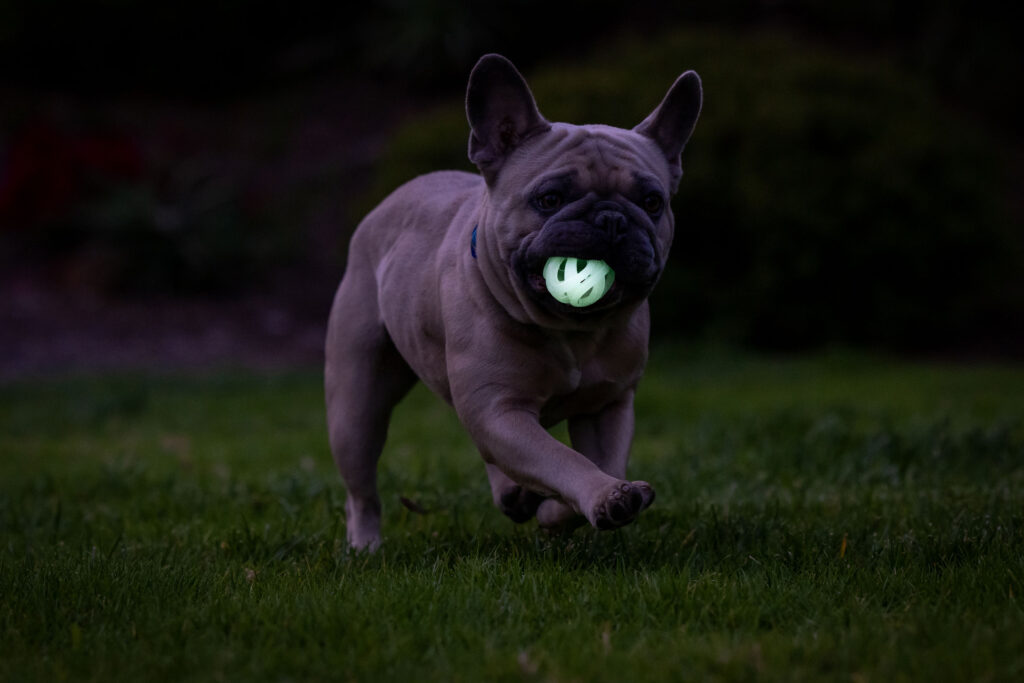 Chuckit! Air Glow Fetch Ball M (2-pack) - Speelgoed voor honden - afbeelding 5