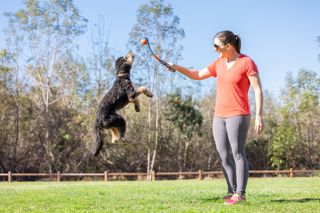 Chuckit! Fetch & Fold Launcher Mini - Opvouwbaar Speelgoed voor Honden - afbeelding 3