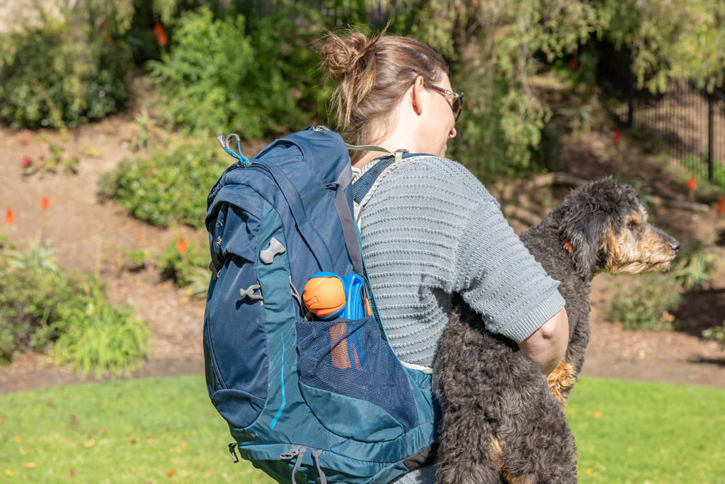 Chuckit! Fetch & Fold Launcher Mini - Opvouwbaar Speelgoed voor Honden - afbeelding 4
