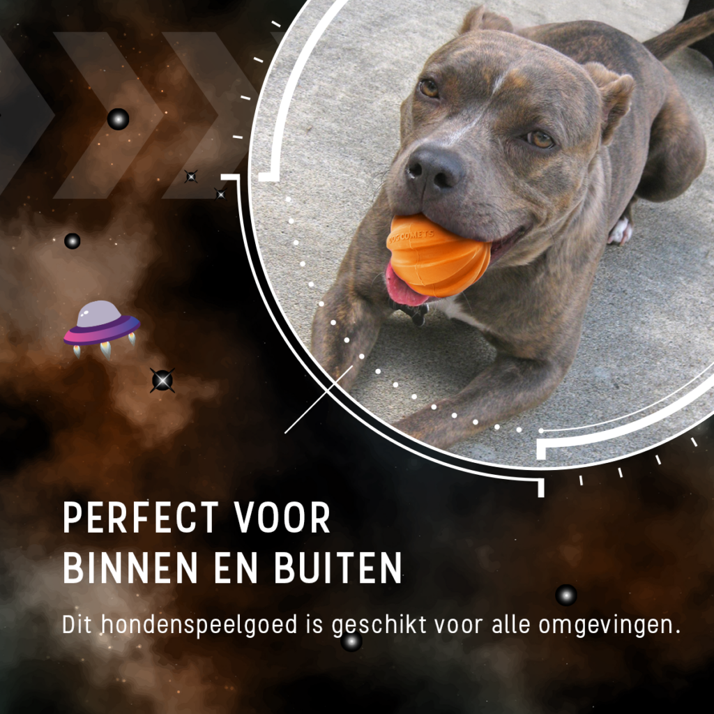 Dog Comets Swift Tuttle Met Touw Oranje - Hondenbal voor Apporteren - afbeelding 6