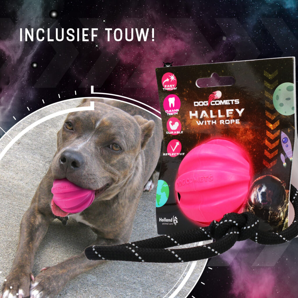 Dog Comets Hale-Bopp Hondenbal met Touw Roze - afbeelding 4