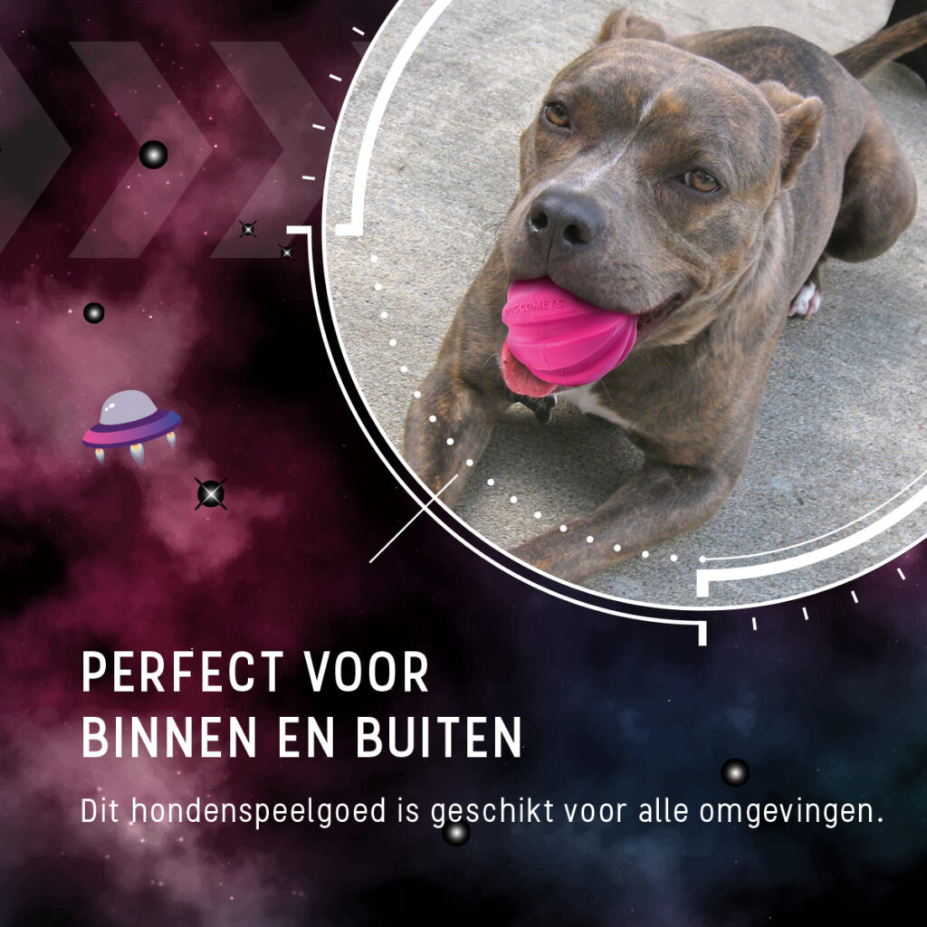 Dog Comets Hale-Bopp Hondenbal met Touw Roze - afbeelding 6