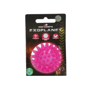 Dog Comets Exoplanet Egelbal S Roze - Speelgoed voor Honden