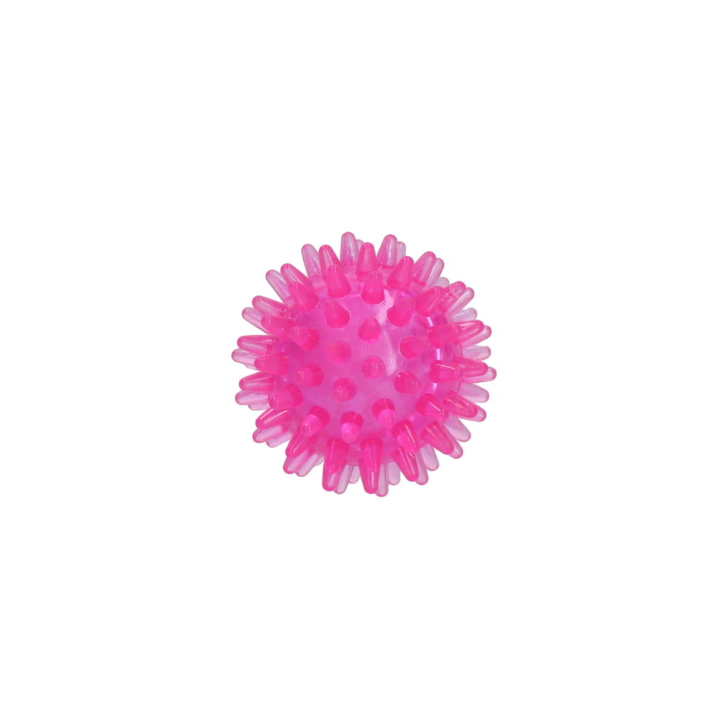 Dog Comets Exoplanet Egelbal S Roze - Speelgoed voor Honden - afbeelding 2
