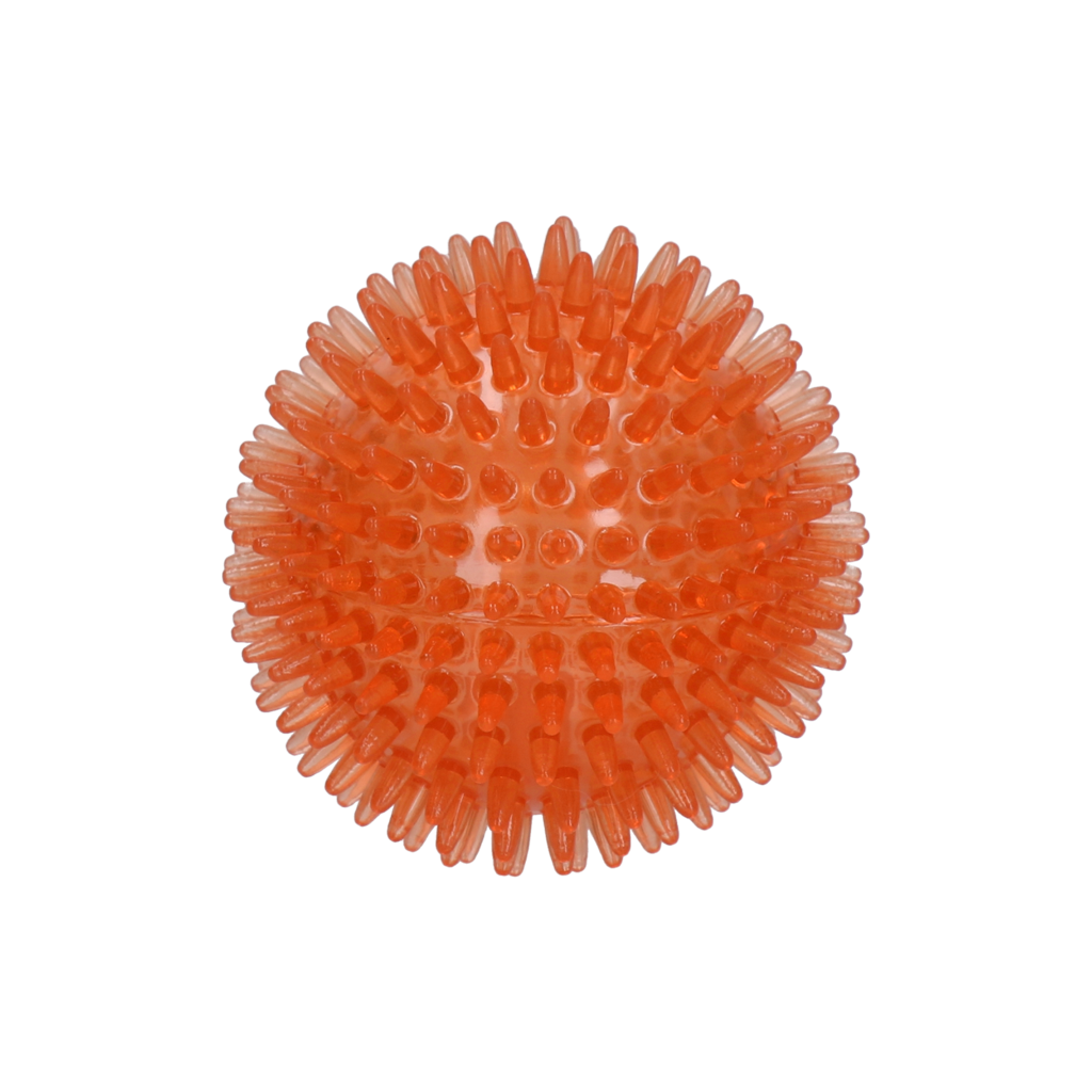 Dog Comets Exoplanet Egelbal M Oranje - Drijvend Hondenspeelgoed met Pieper - afbeelding 2