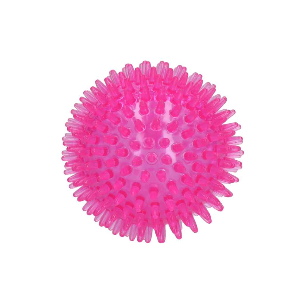 Dog Comets Exoplanet Egelbal M Roze - Speelgoed voor Honden - afbeelding 2