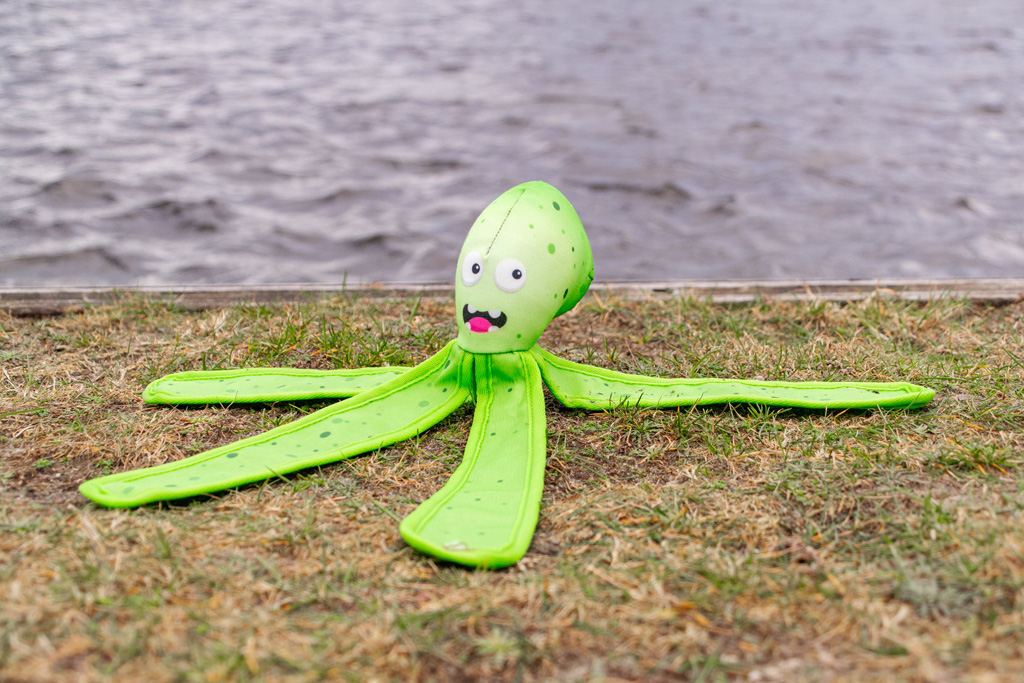 Dog Comets Alien Octo M Groen - Stevig Drijvend Hondenspeeltje - afbeelding 5