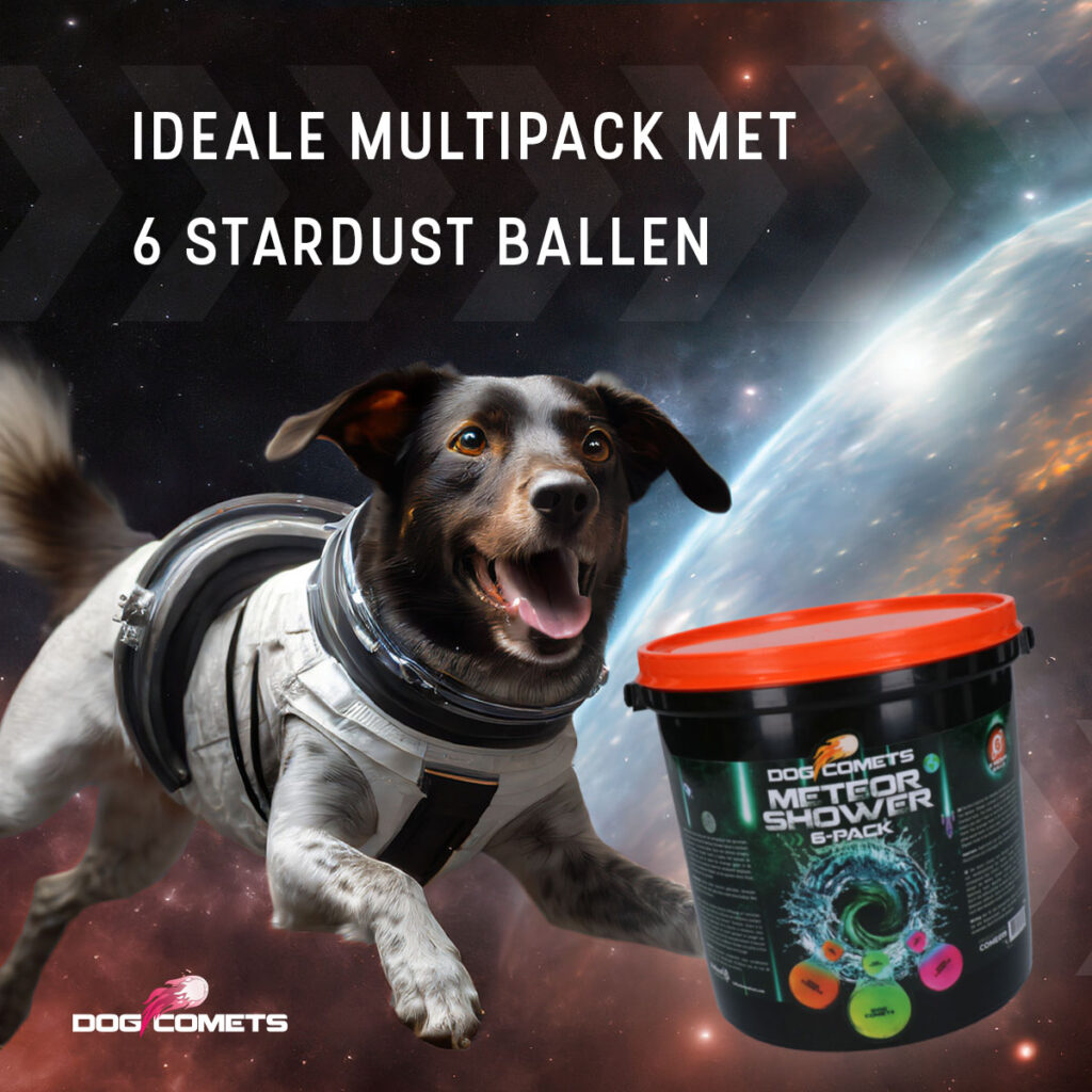 Dog Comets Meteor Shower Emmer met 6 M Stardust ballen - afbeelding 3