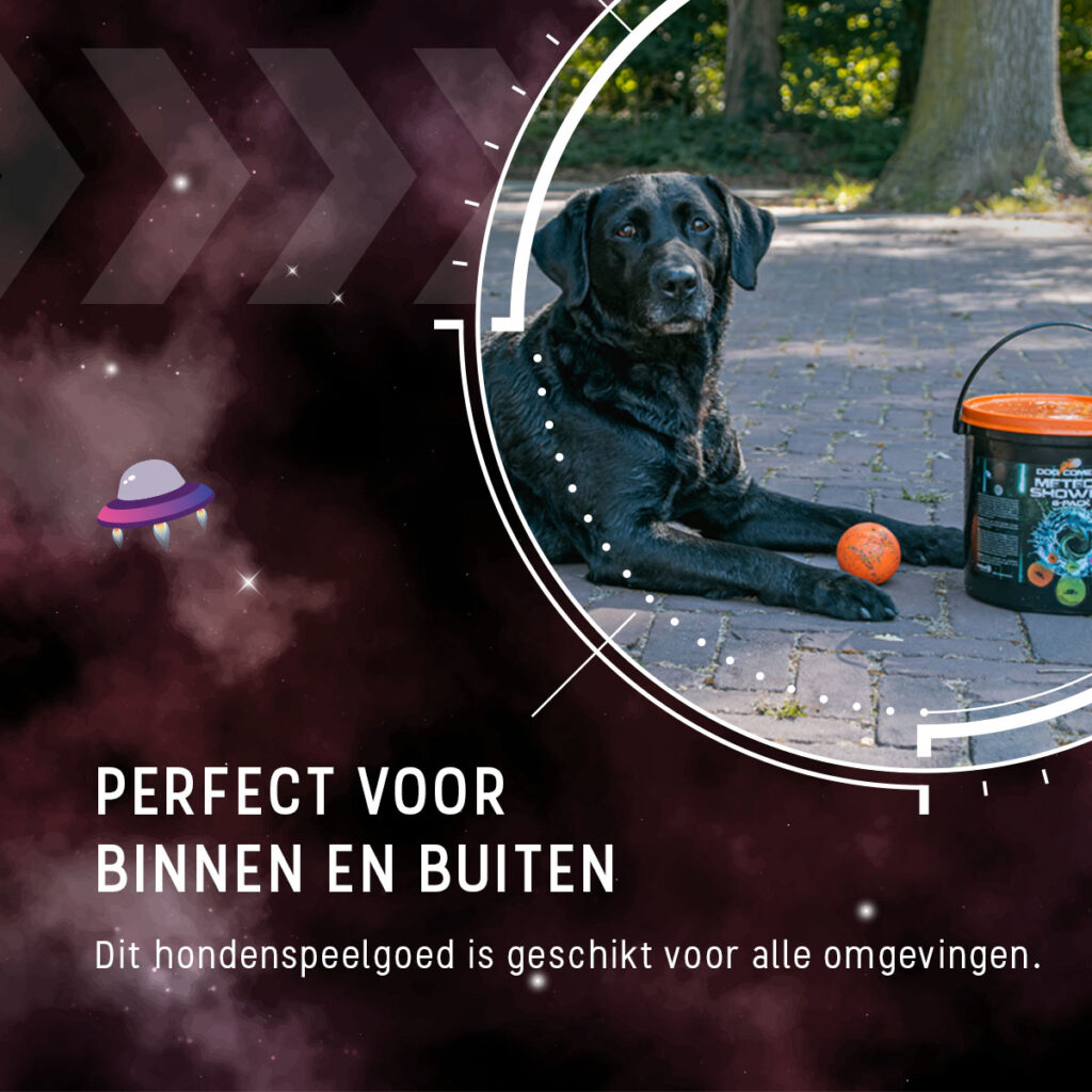 Dog Comets Meteor Shower Emmer met 6 M Stardust ballen - afbeelding 2