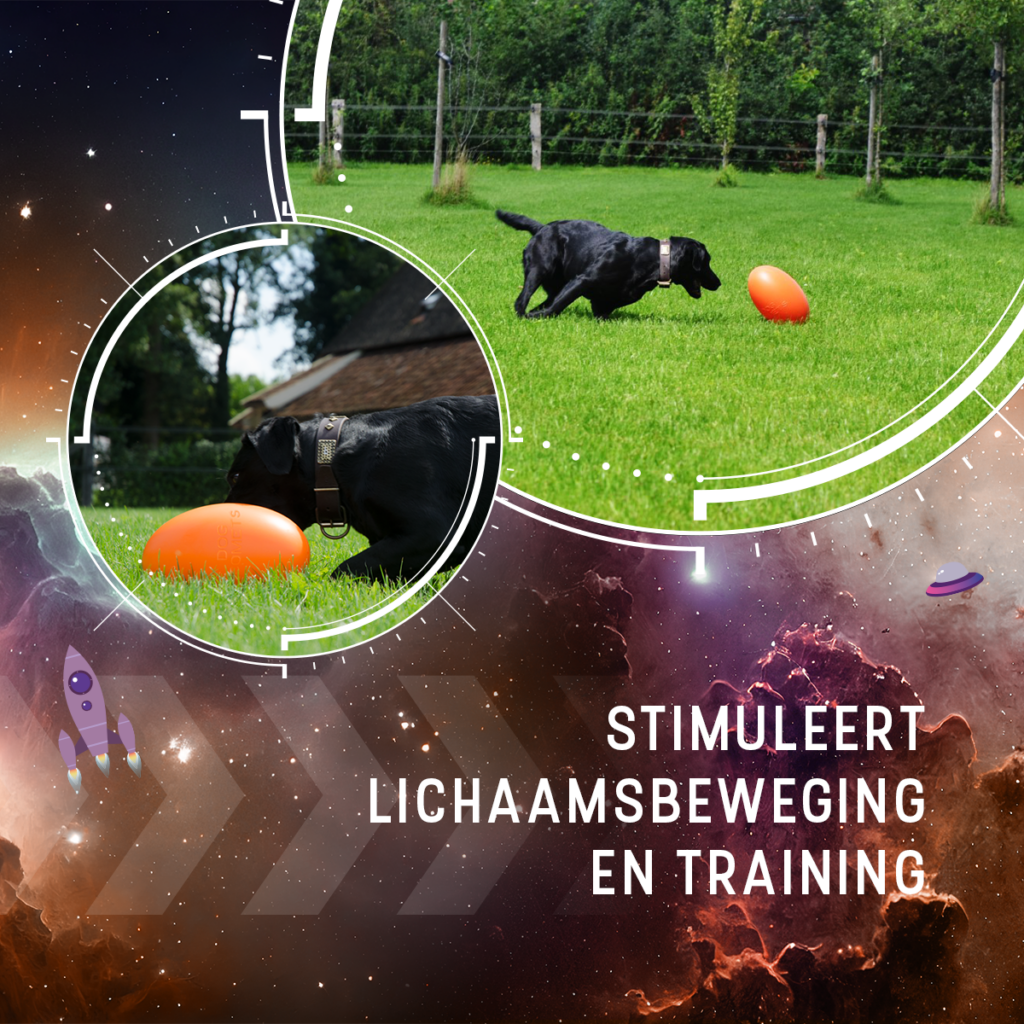 Dog Comets Pan-Stars Oranje M - Onvoorspelbaar Hondenspeelgoed - afbeelding 6