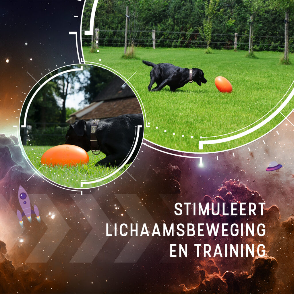 Dog Comets Pan-Stars Oranje L - Duurzaam Hondenspeelgoed - afbeelding 5