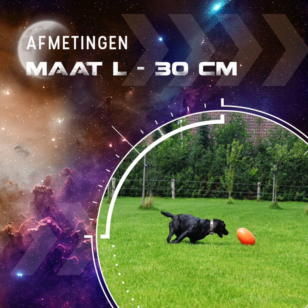 Dog Comets Pan-Stars Oranje L - Duurzaam Hondenspeelgoed - afbeelding 3