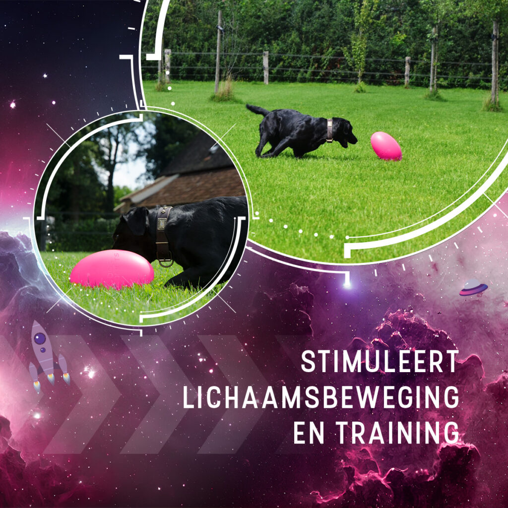 Dog Comets Pan-Stars Roze M - Duurzaam Hondenspeelgoed - afbeelding 5