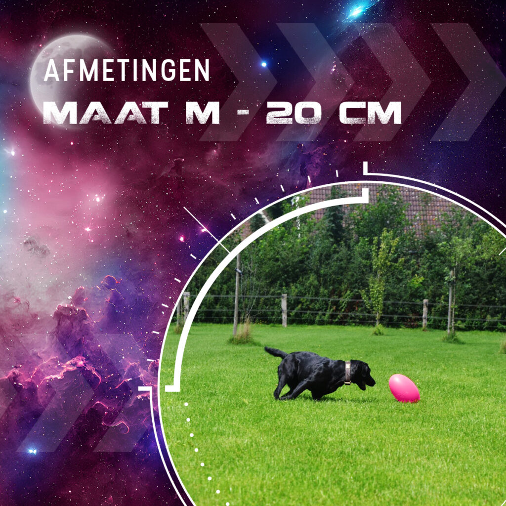 Dog Comets Pan-Stars Roze M - Duurzaam Hondenspeelgoed - afbeelding 3