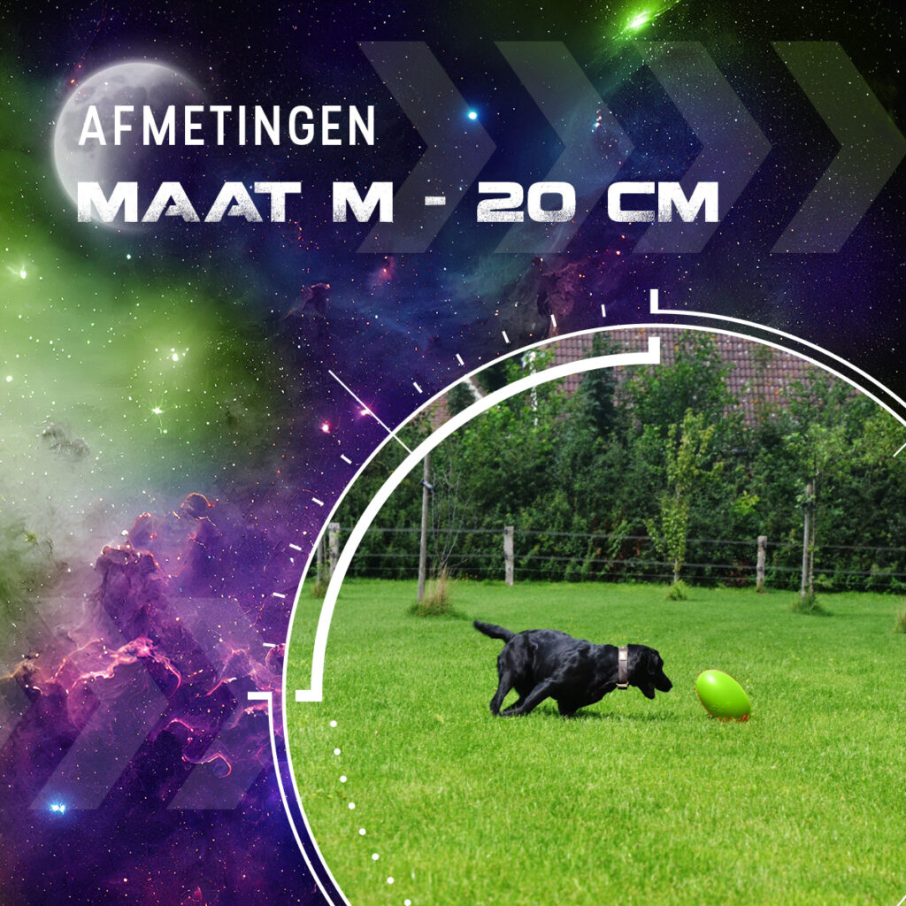 Dog Comets Pan-Stars Groen M - Duurzaam Hondenspeelgoed - afbeelding 3