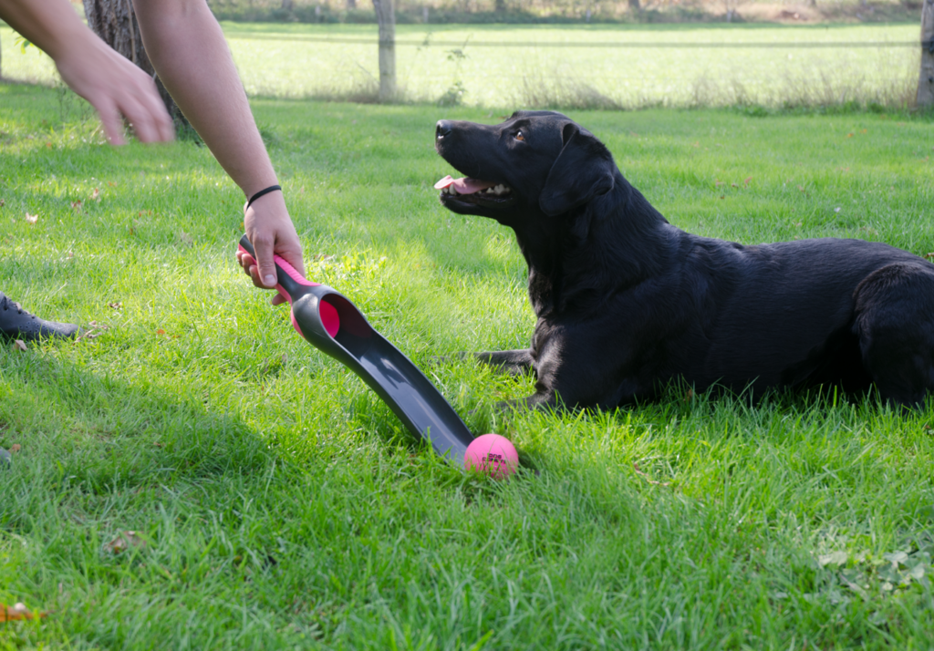 Dog Comets Star Launcher Roze - Speelgoed voor Honden - afbeelding 2