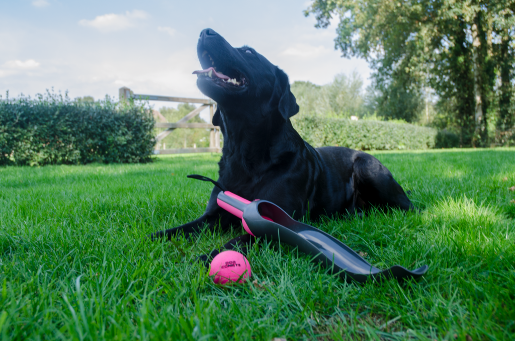 Dog Comets Star Launcher Roze - Speelgoed voor Honden - afbeelding 4
