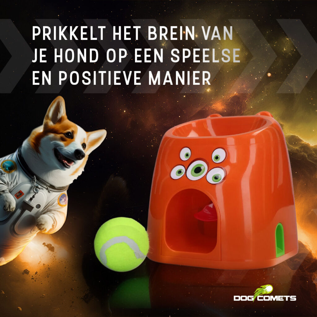 Dog Comets D1spencer Fetch and Treat - Interactief Speelgoed voor Honden - afbeelding 6