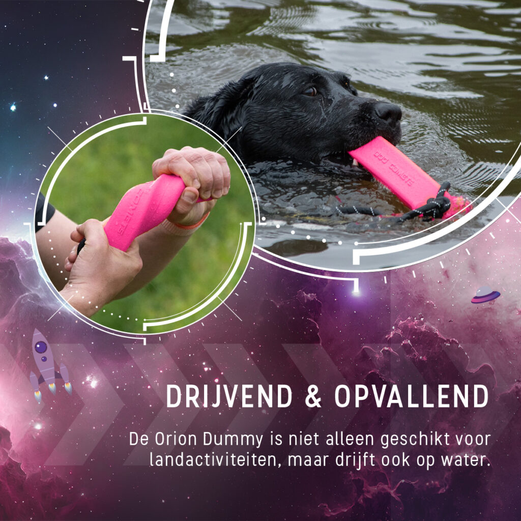 Dog Comets Orion Roze Dummy voor Honden - 20 x 4 x 4 cm - afbeelding 6