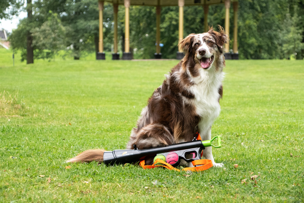 Dog Comets Comet Launcher - Ballenlanceerder voor Honden tot 20 Meter - afbeelding 5