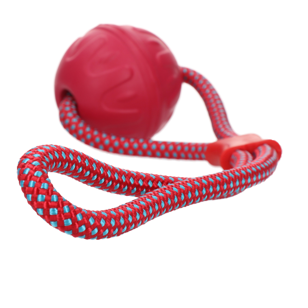 Dog Comets Vortex Loop Roze - Speelbal met Touw - afbeelding 2