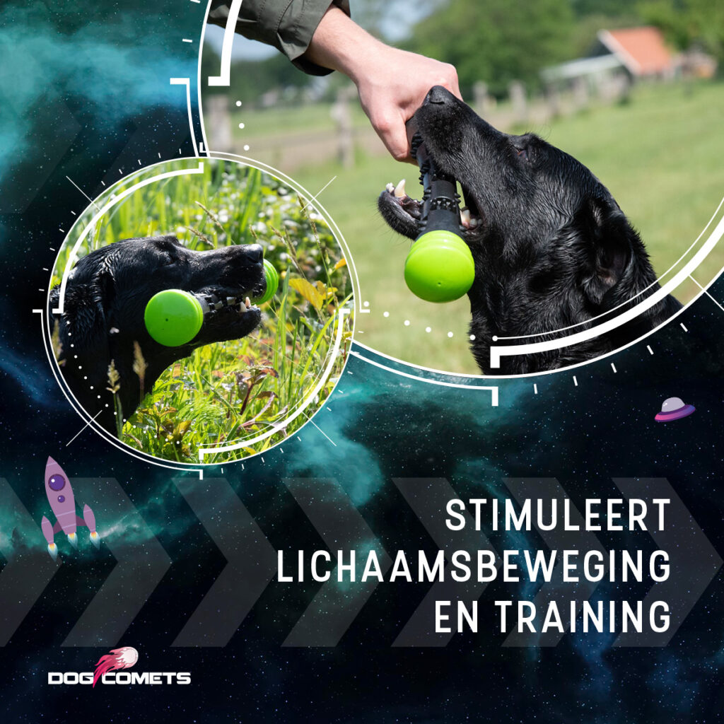 Dog Comets Meteor Werpstok Groen S - 23 cm - afbeelding 6