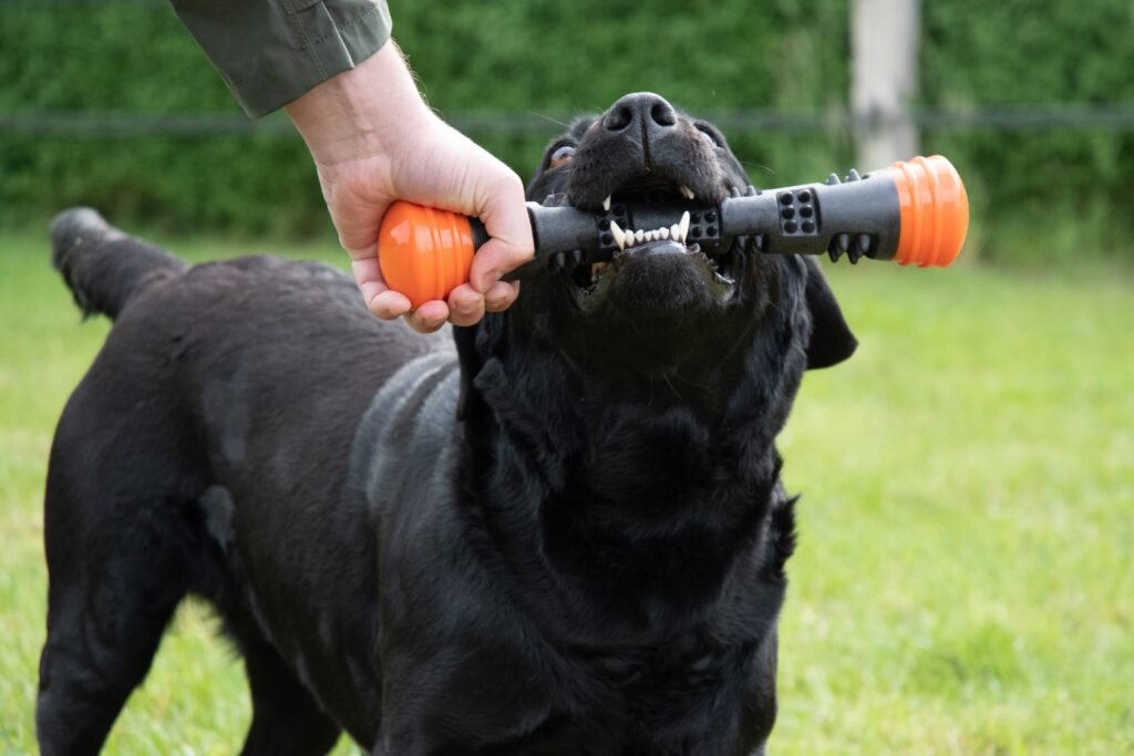 Dog Comets Meteor Werpstok Oranje L - 32 cm - afbeelding 6