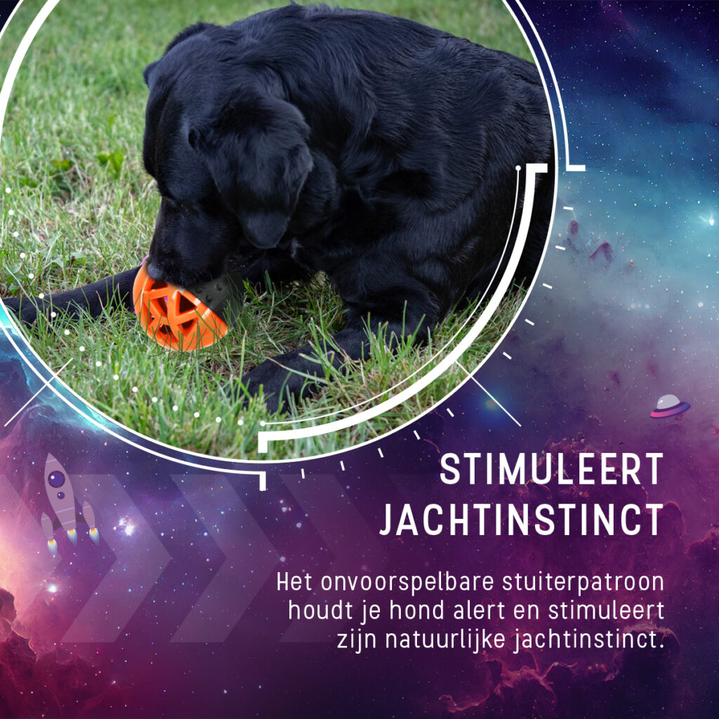 Dog Comets Moonstone Traktatiebal Oranje - Speelgoed voor Honden - afbeelding 6
