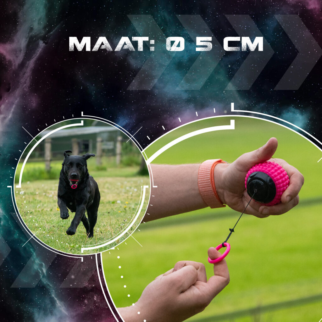 Dog Comets Blazar Jet Roze - Multifunctionele Speelbal van Duurzaam Kunststof - afbeelding 5
