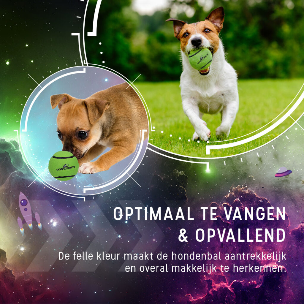 Dog Comets Tennisbal Starlight S Groen (3-pack) - Sterke en drijvende speelbal - afbeelding 4