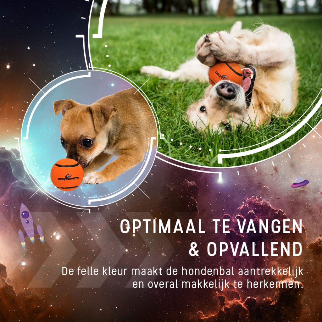 Dog Comets Tennisbal Starlight L Oranje - Hoog Stuiterend en Duurzaam - afbeelding 4