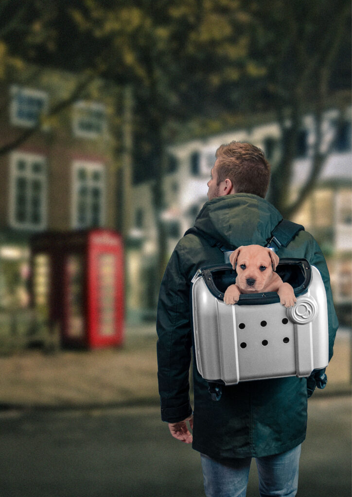 Compaws Trolley London 40 cm Grijs voor Katten en Kleine Honden - afbeelding 2