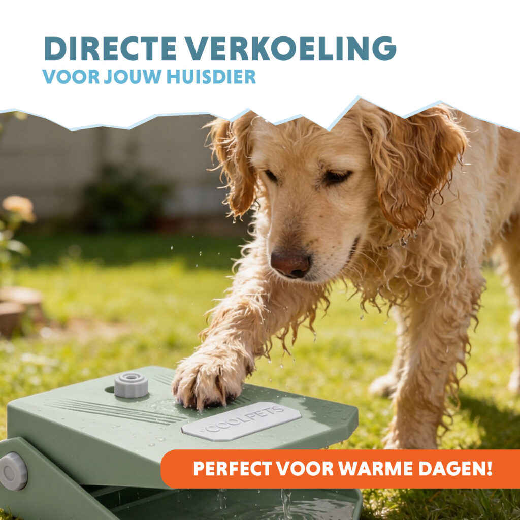 Coolpets Splash Water Fountain Olijfgroen - Waterfontein voor Buiten - afbeelding 2